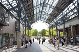 インフォメーションギャラリーイメージ