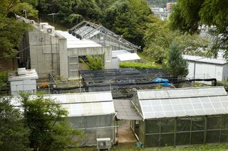 温室・実験圃場イメージ