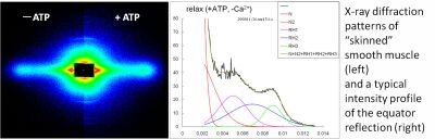 運動イメージ02